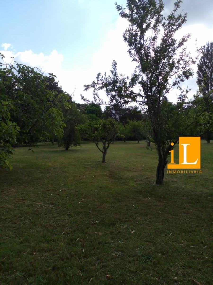 Bº Mendizabal · Brandsen — foto 14