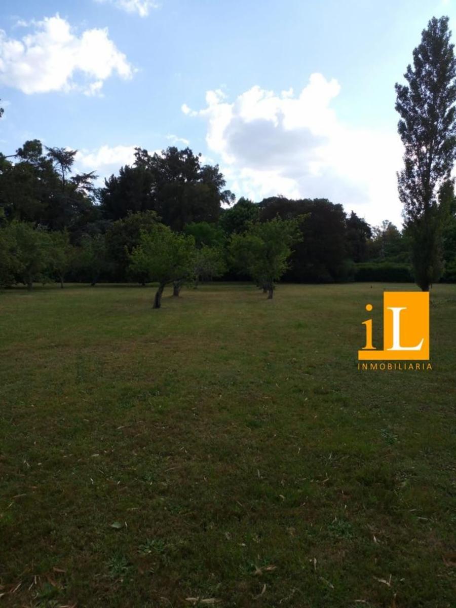 Bº Mendizabal · Brandsen — foto 16
