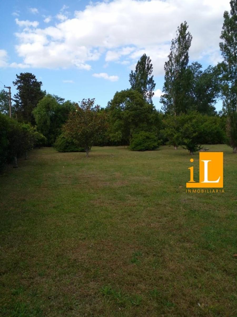 Bº Mendizabal · Brandsen — foto 17
