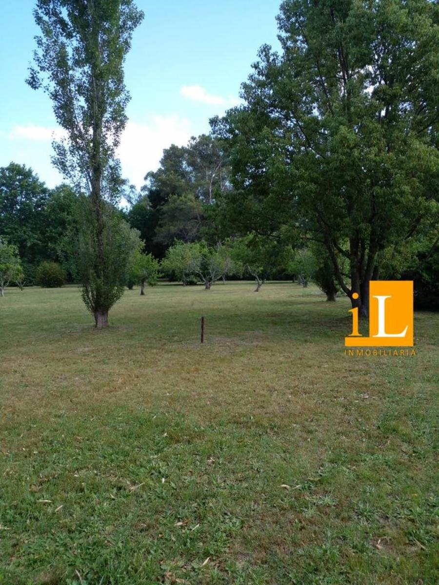 Bº Mendizabal · Brandsen — foto 19
