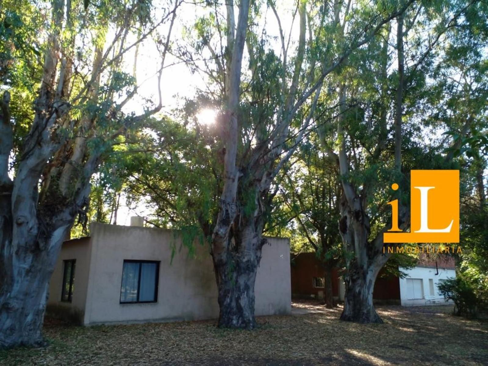 Bº Mendizabal · Brandsen — foto 5