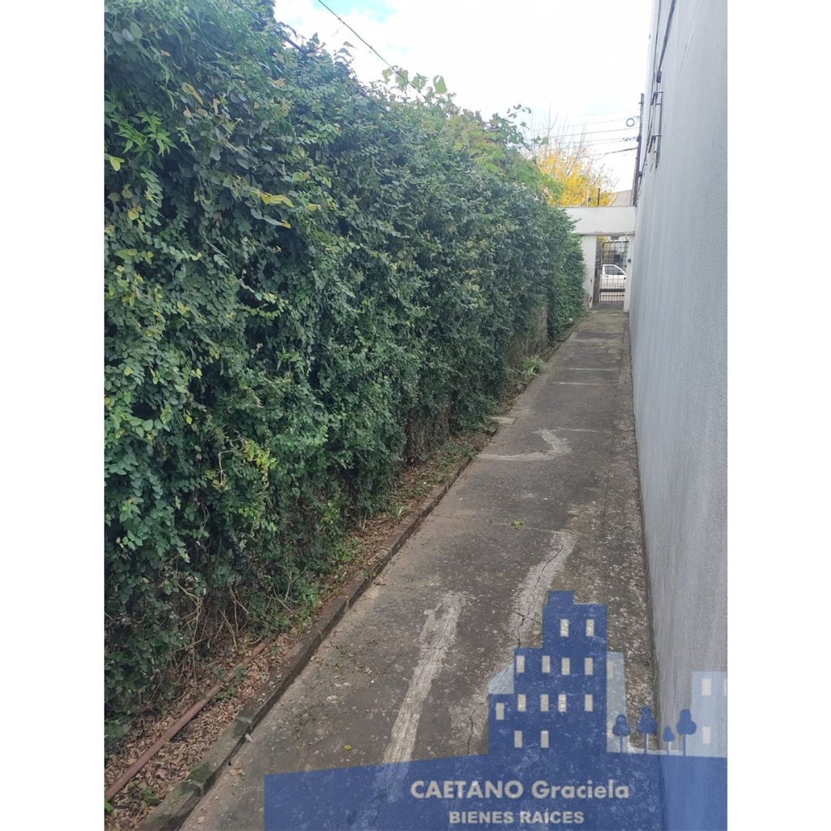 Cucha cucha · La Matanza — foto 11