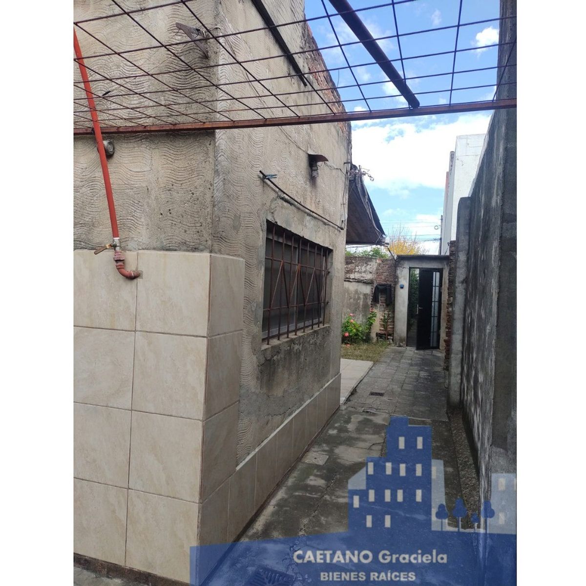 Cucha cucha · La Matanza — foto 15