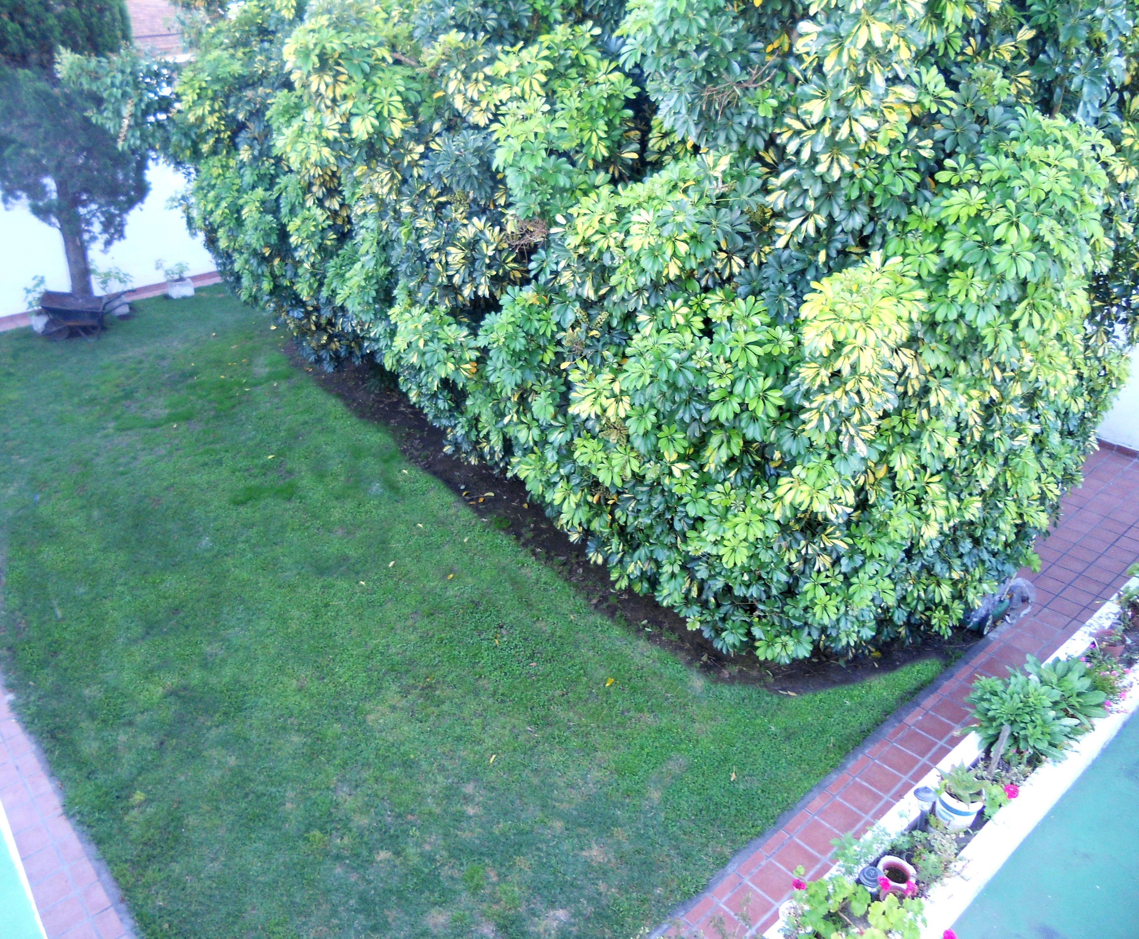 473 bis · La Plata — foto 8