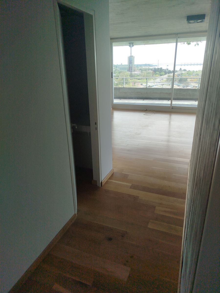 olive 964 · Rosario — foto 14