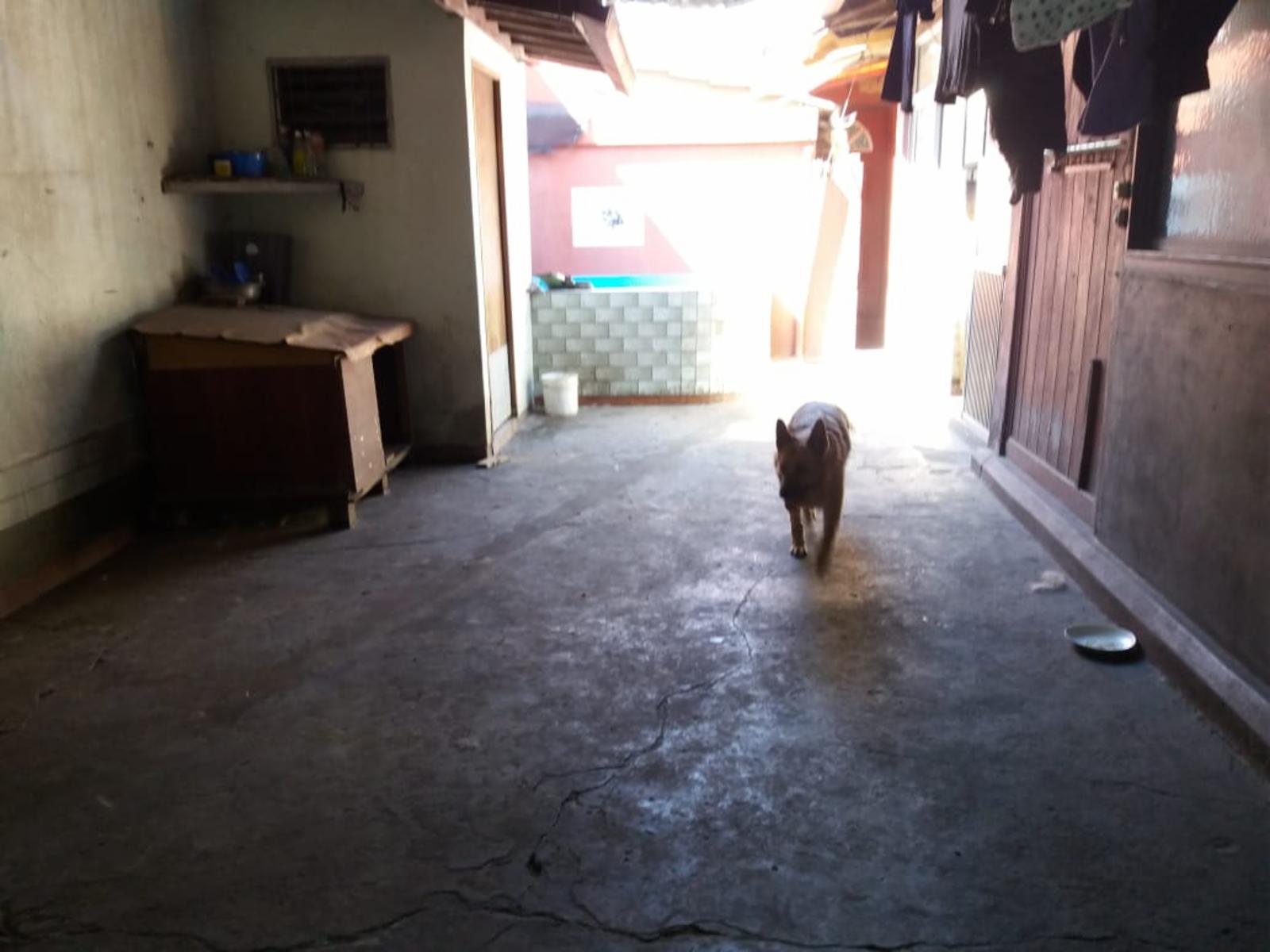 Psje. Juez Magnaud 1200 · Pompeya — foto 9