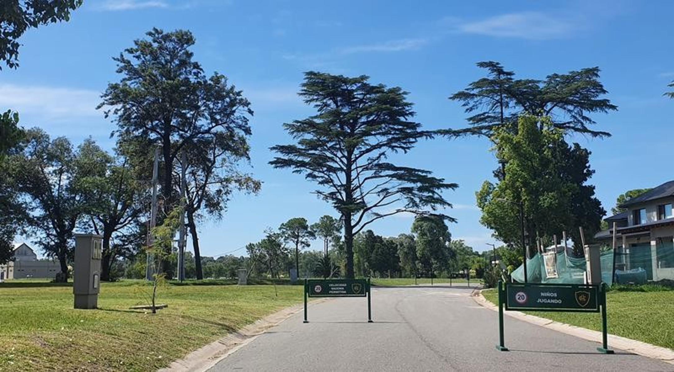 Golf Lomas Athletic · Ezeiza — foto 8