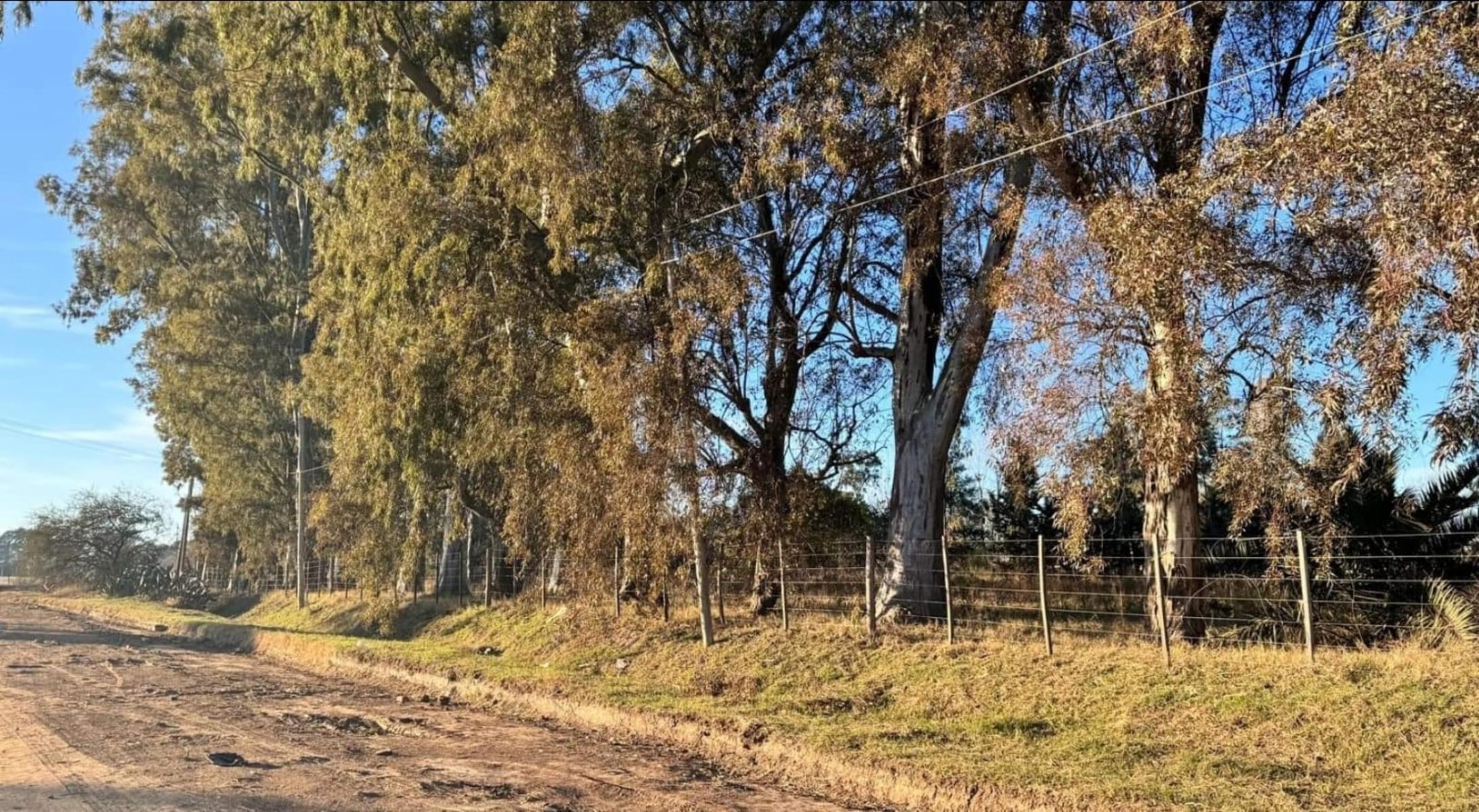 Lote de 4900 m2 sobre Av. Chassaing Norte