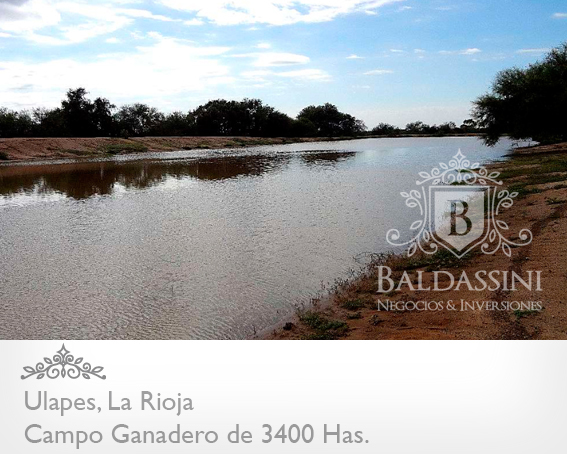 CAMPO GANADERO DE 3400 HECTÁREAS EN ULAPES - LA RIOJA A 7 KM DE LA RUTA 79 / BUENOS ACCESOS / CASA PRINCIPAL / AGUA EN REPRESA / ALAMBRADO