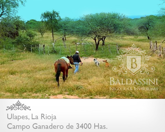 3400 HAS. EN ULAPES · General San Martín — foto 3