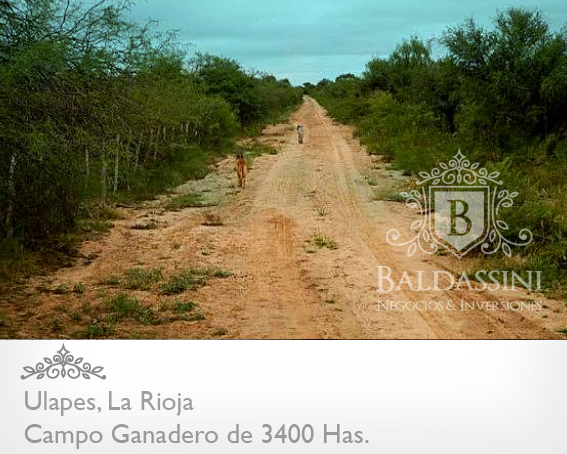 3400 HAS. EN ULAPES · General San Martín — foto 4