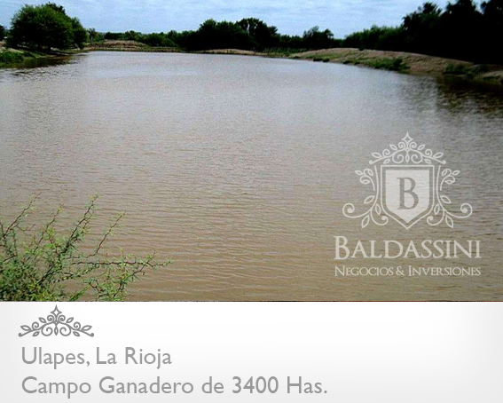 3400 HAS. EN ULAPES · General San Martín — foto 5