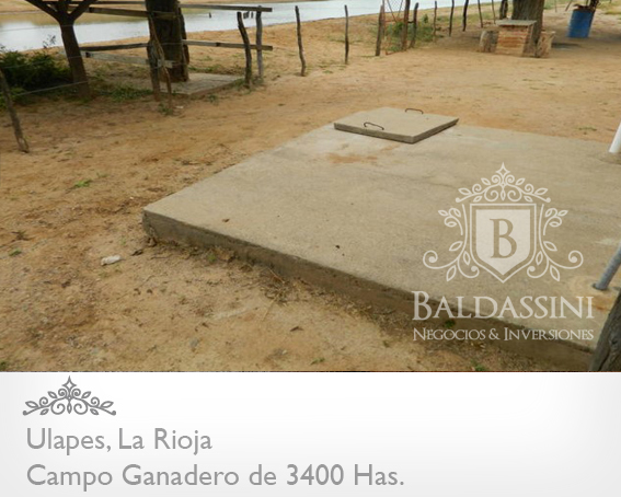 3400 HAS. EN ULAPES · General San Martín — foto 6