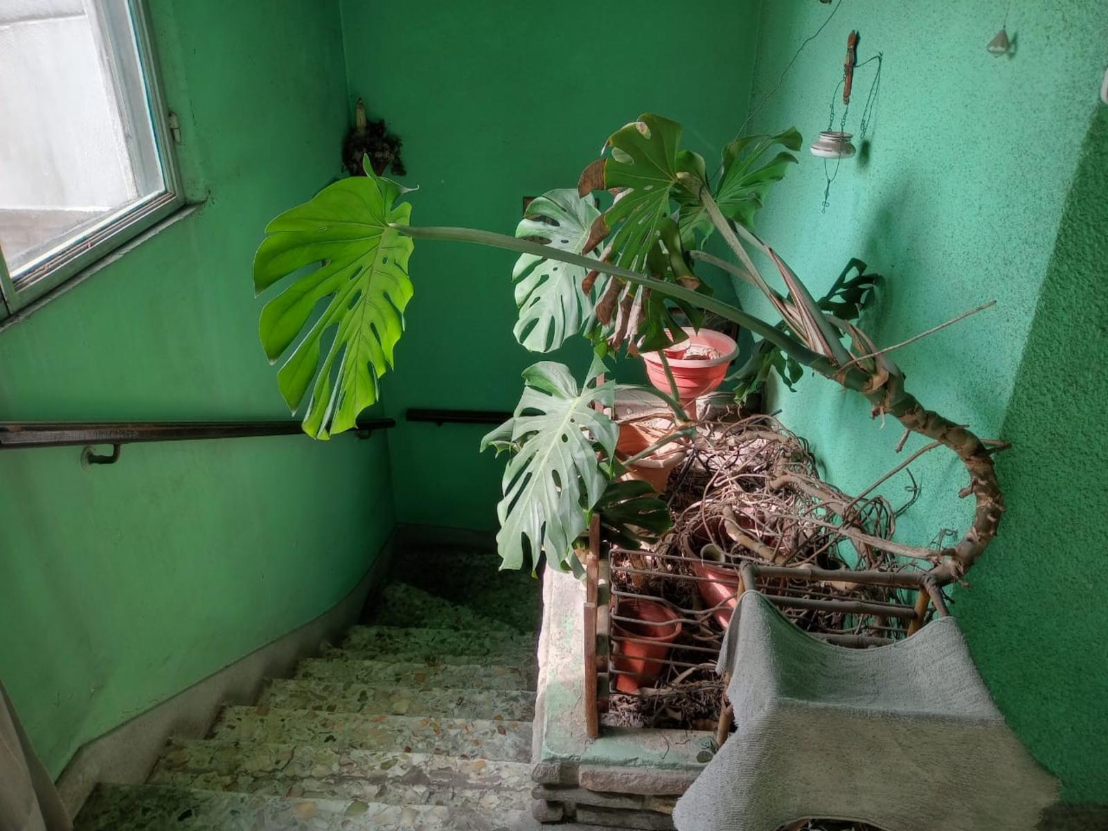 Capitán Rosales 4300 · Tres De Febrero — foto 6