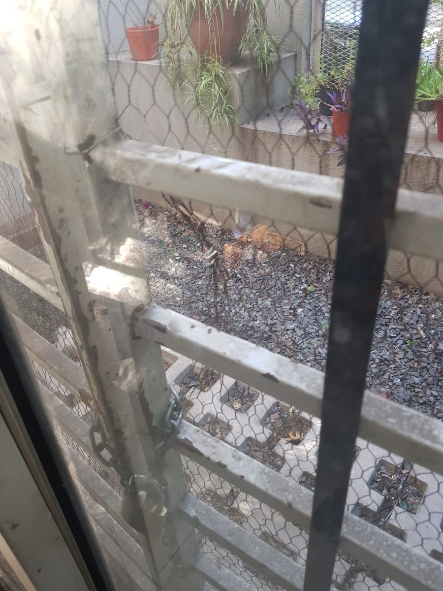 JUAN JOSE CASTELLI 325 · Morón — foto 18