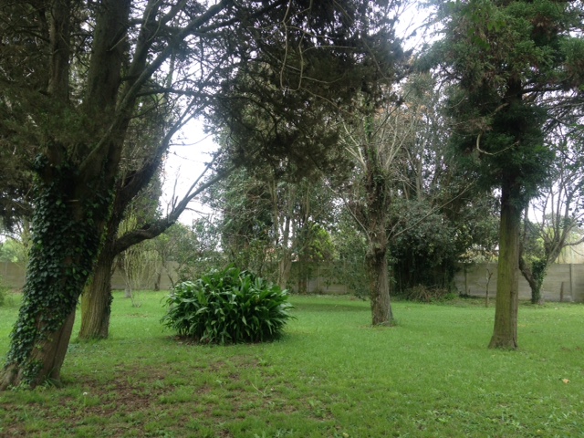 RN 2 km 45 · La Plata — foto 4