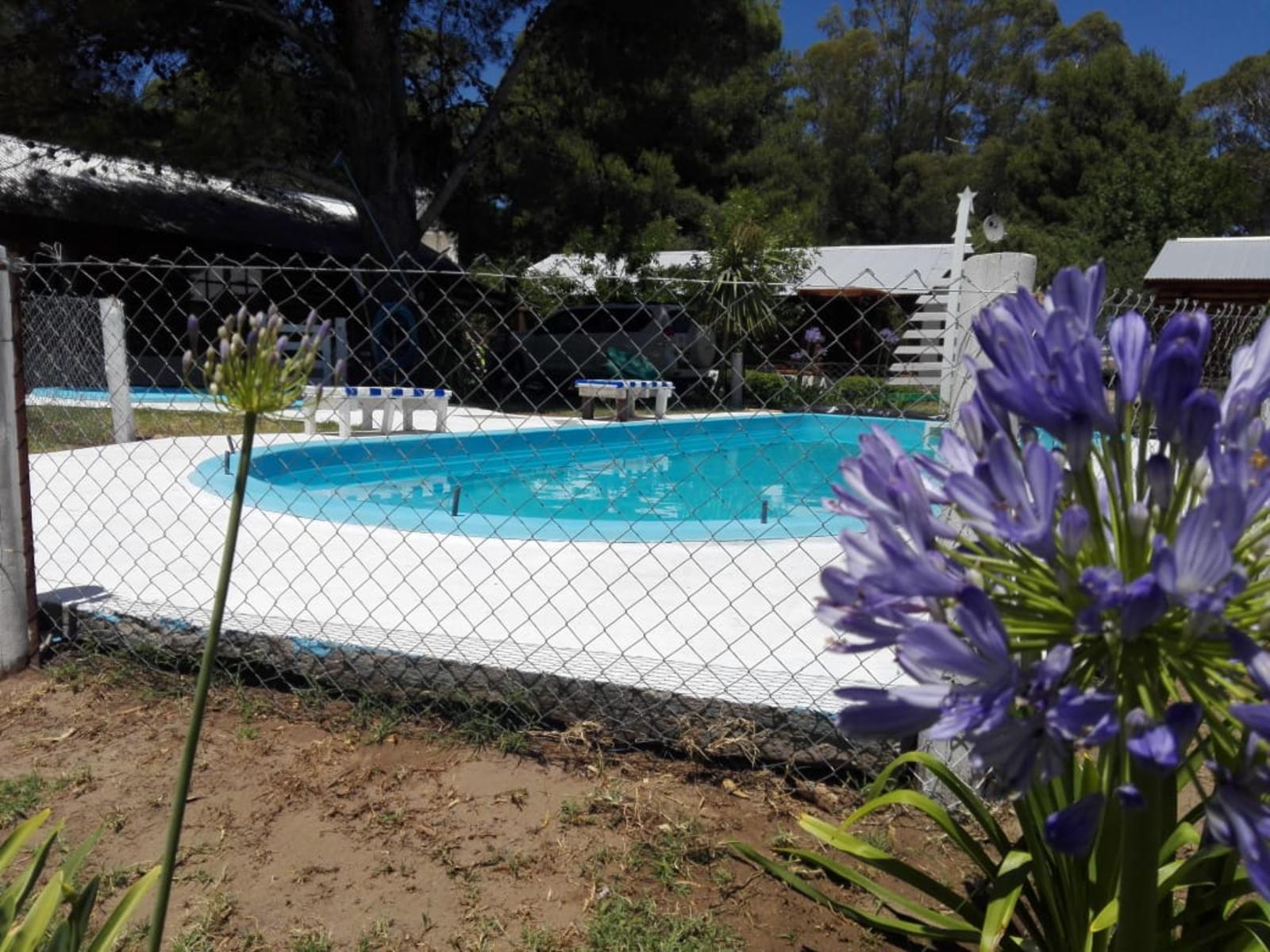 puleston 2775 · Monte Hermoso — foto 20