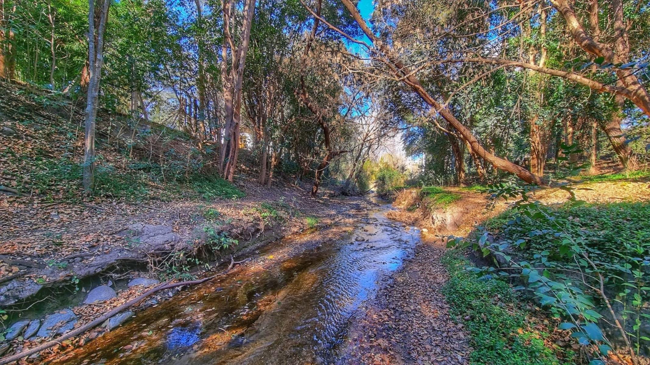 Guatemala · Calamuchita — foto 3