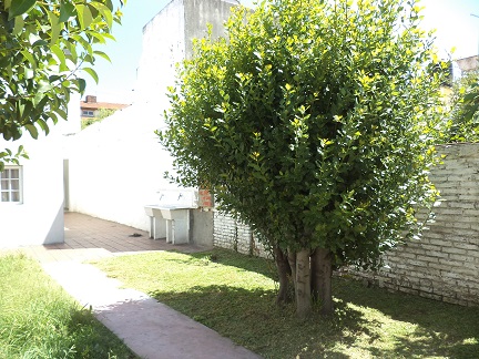 Padre Elizalde 341 · Tres De Febrero — foto 9
