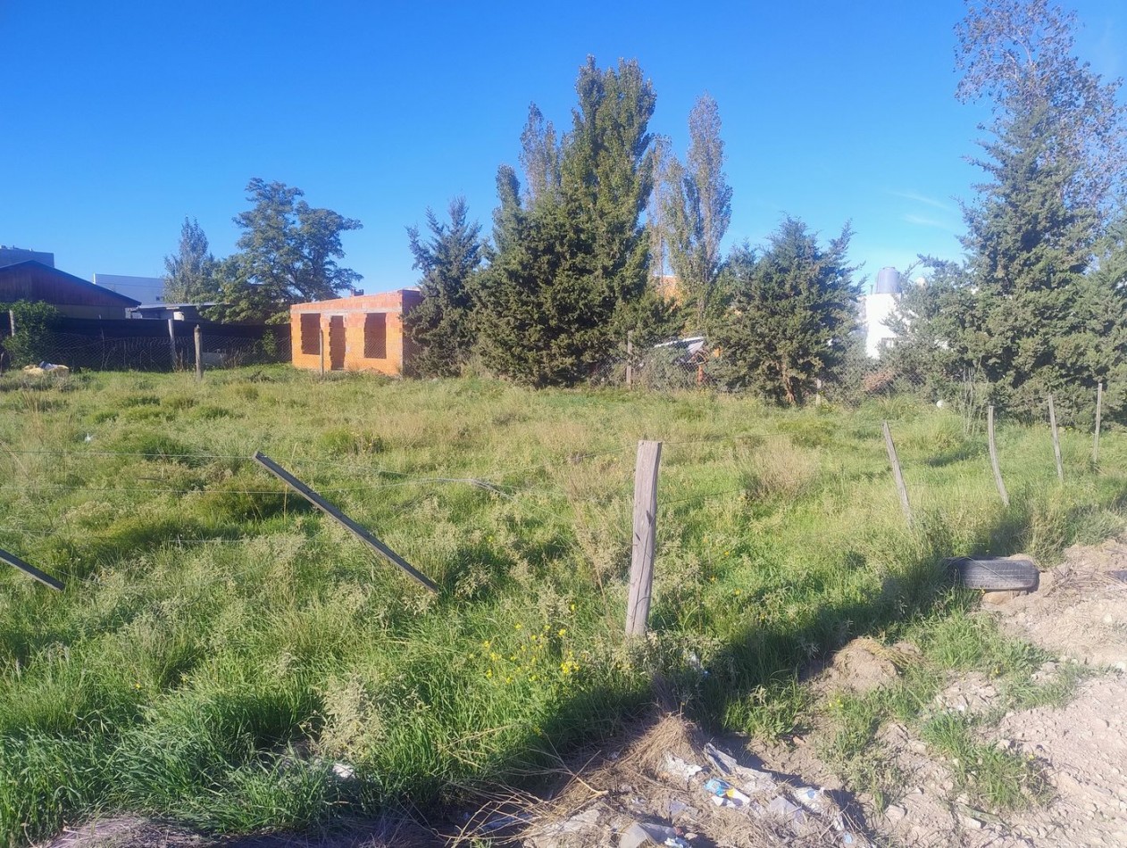 Pilmaiquen &amp Bermúdez · Bahia Blanca — foto 4
