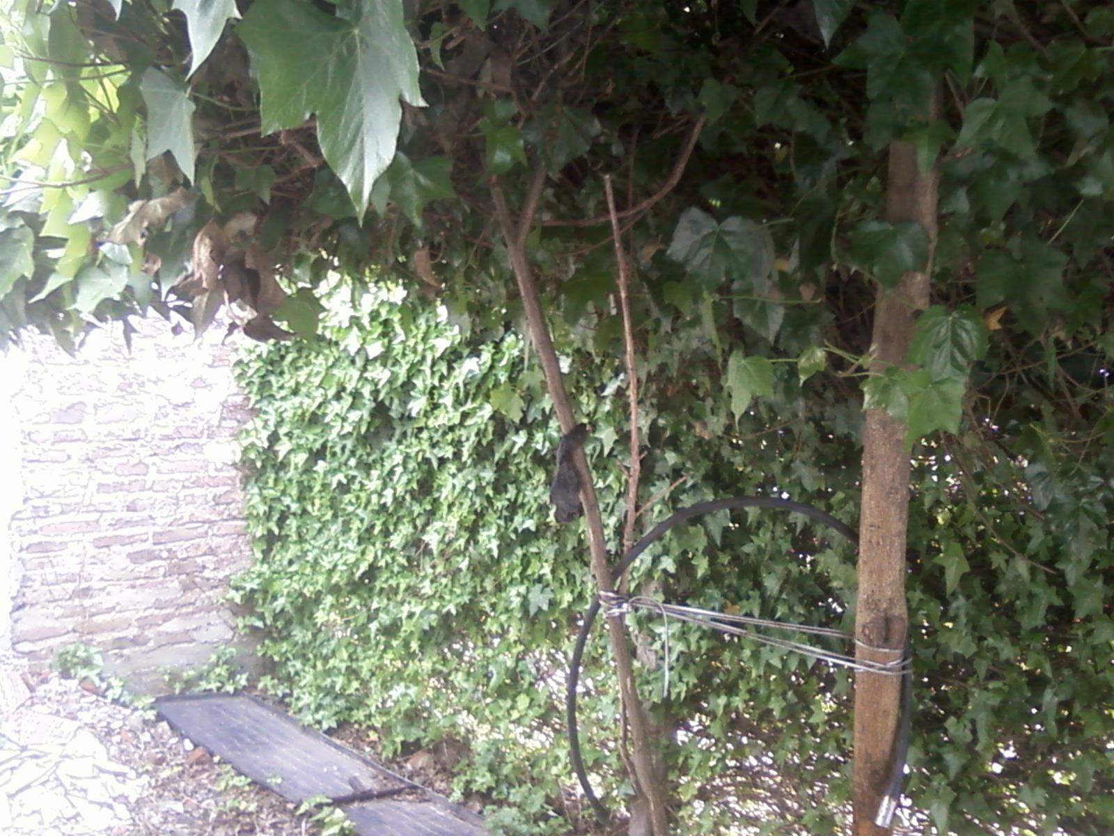 San Juan esquina Alfonso XIII, Glew · Almirante Brown — foto 15