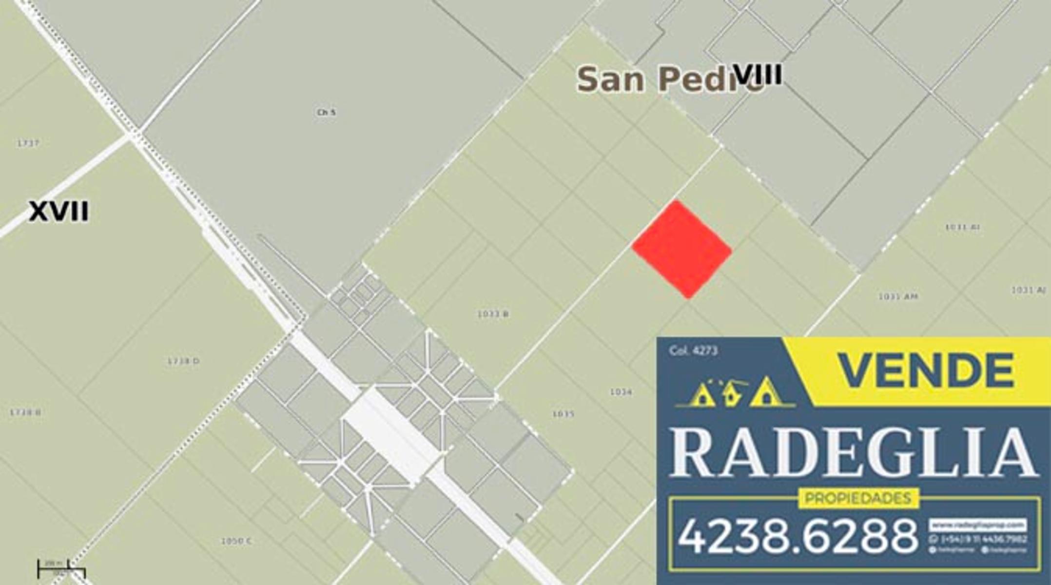 16 hectáreas en San Pedro- Gobernador Castro.