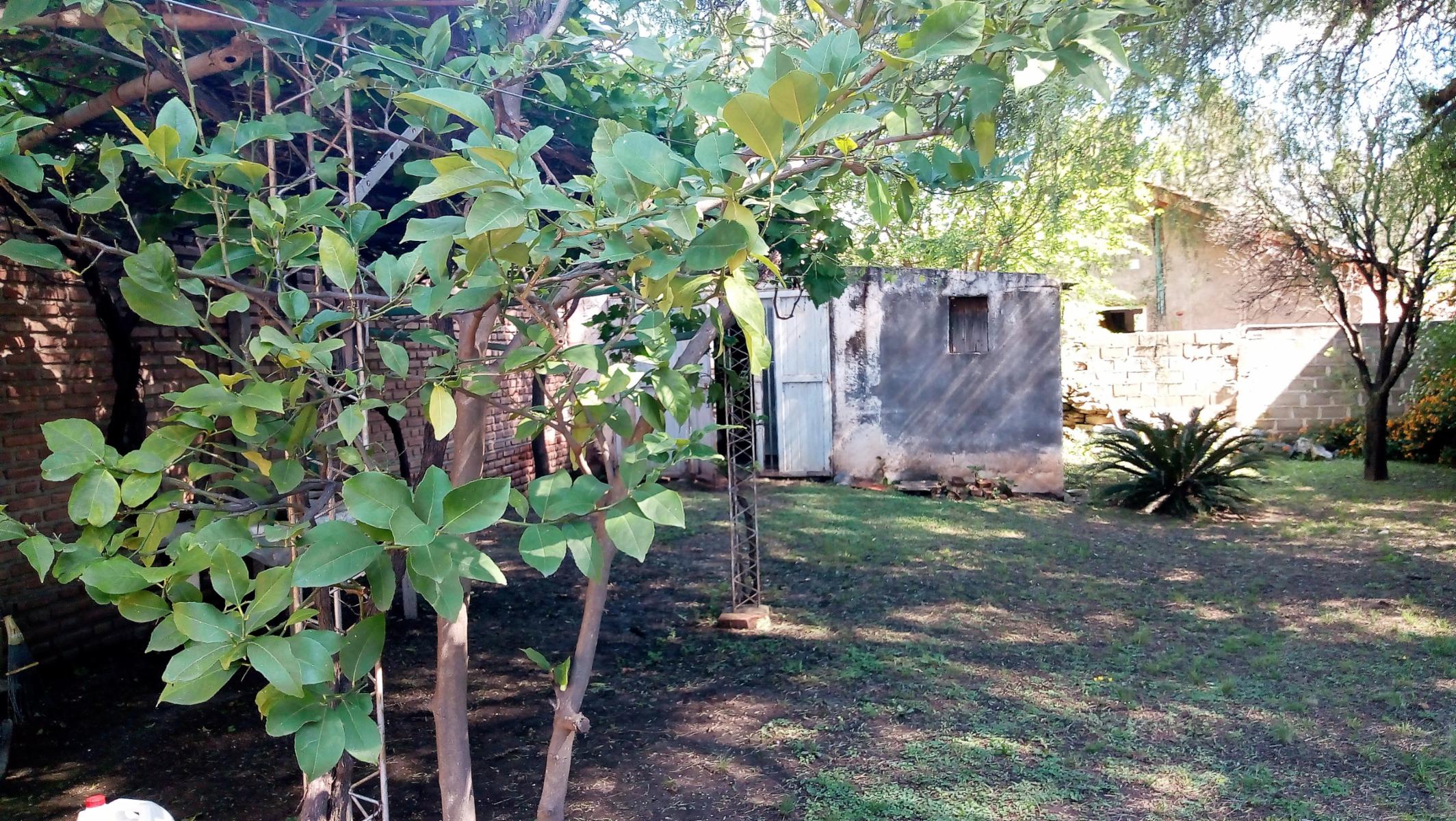 Los Tilos 520 · Junín — foto 18