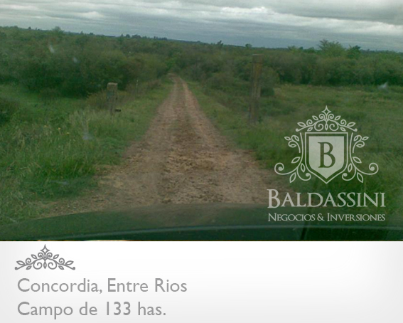 CAMPO DE 133 HAS. SIN MEJORAS · Concordia — foto 7