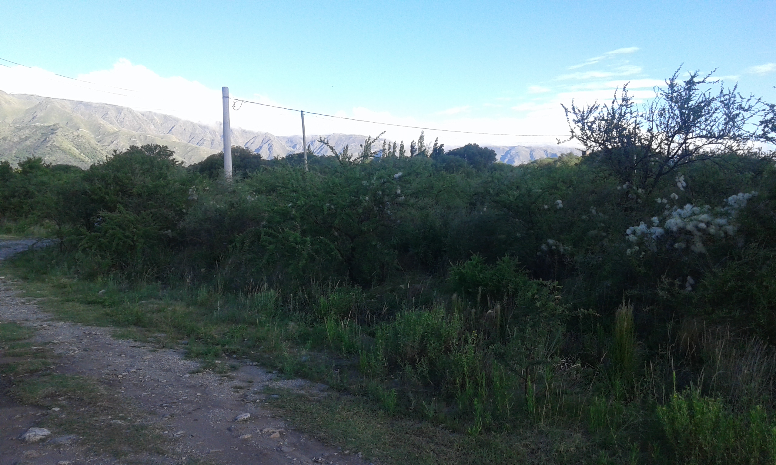 VENTA TERRENO