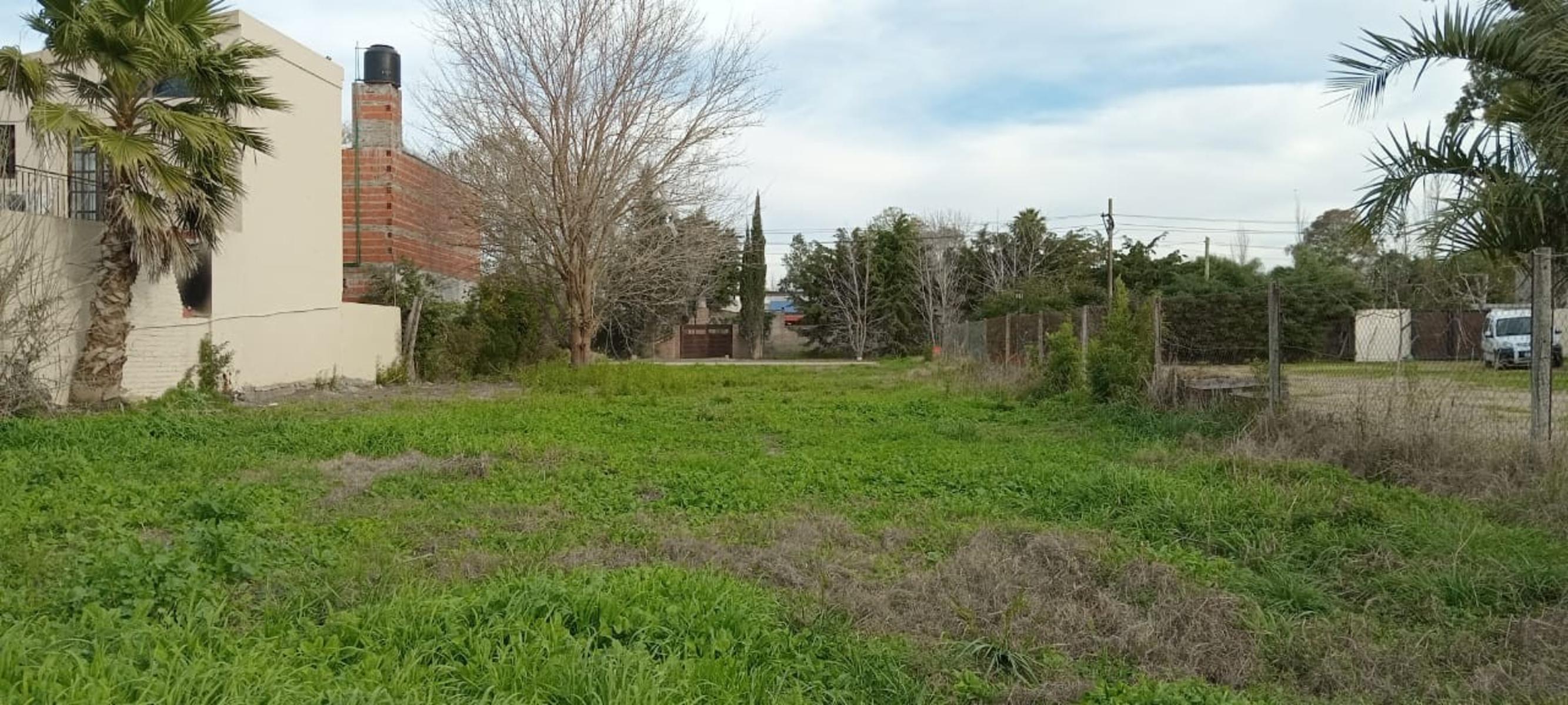San Bernardo 300 · San Lorenzo — foto 3