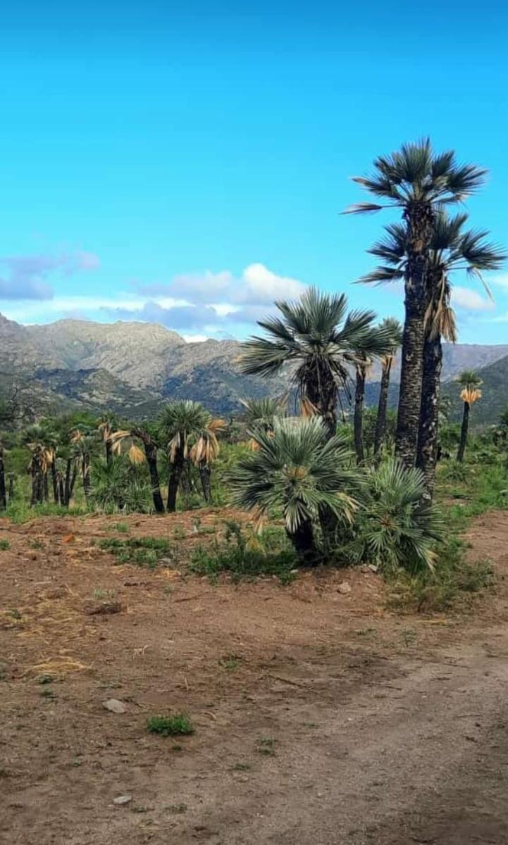 Ruta 1 · Chacabuco — foto 3