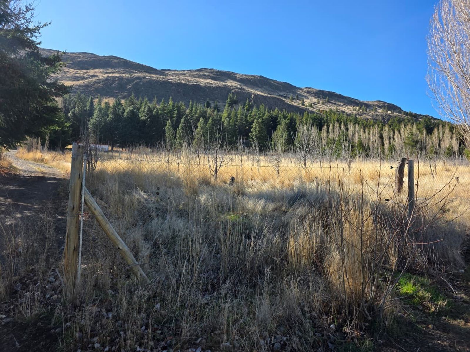 Ruta Nacional Nº 259, km 3,6 · Futaleufú — foto 4