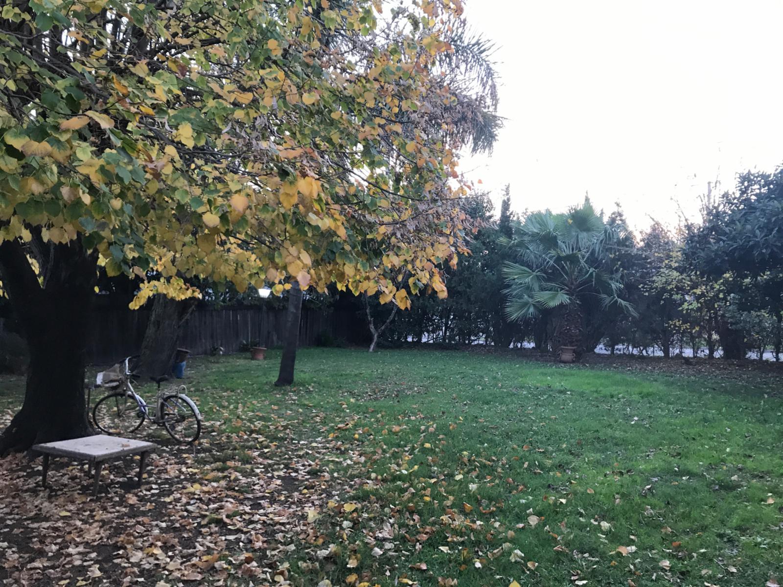 Medina 1700 · Ituzaingó — foto 12