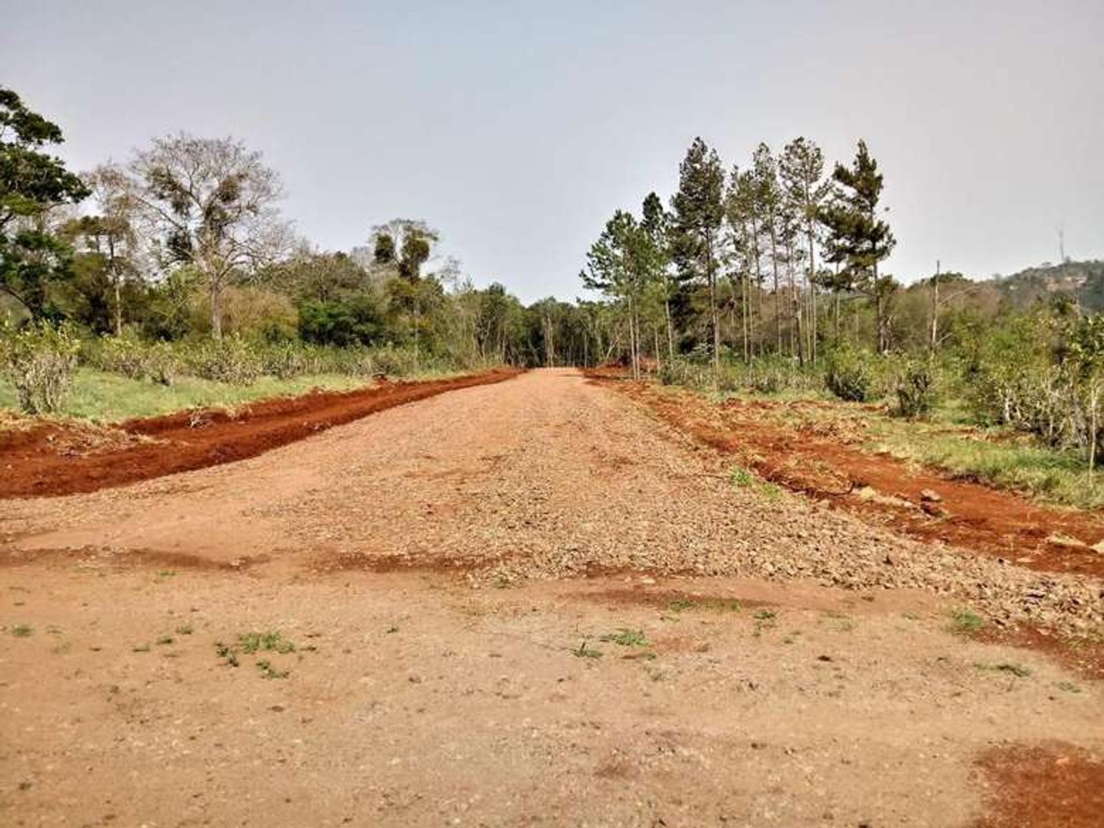 Lote 12 en esquina: más espacio, naturaleza y una vista privilegiada