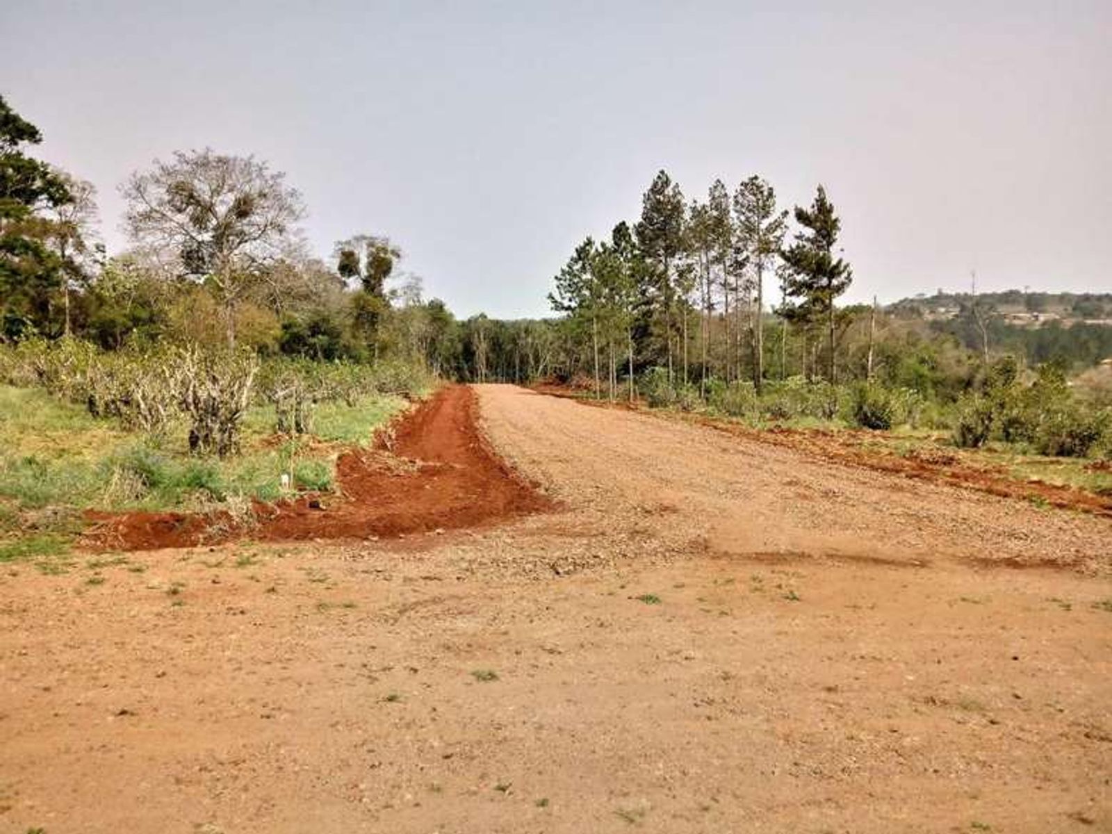 Guarani, Oberá, Misiones · Oberá — foto 13