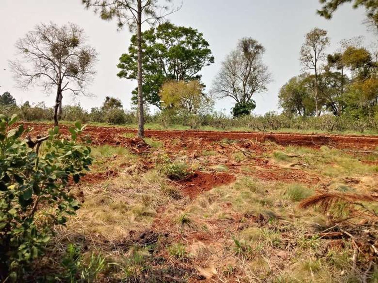 Guarani, Oberá, Misiones · Oberá — foto 7