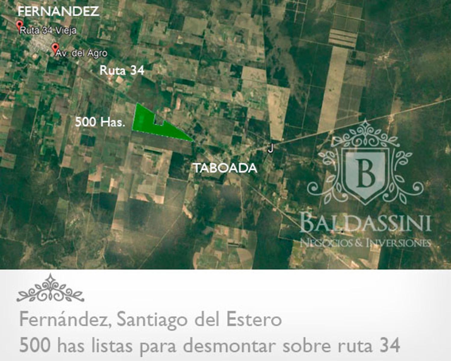 CAMPO DE 500 HAS ENTRE FERNÁNDEZ Y TABOADA SOBRE RUTA 34 - SANTIAGO DEL ESTERO. CON PERMISO DE DESMONTE DEL 90 %