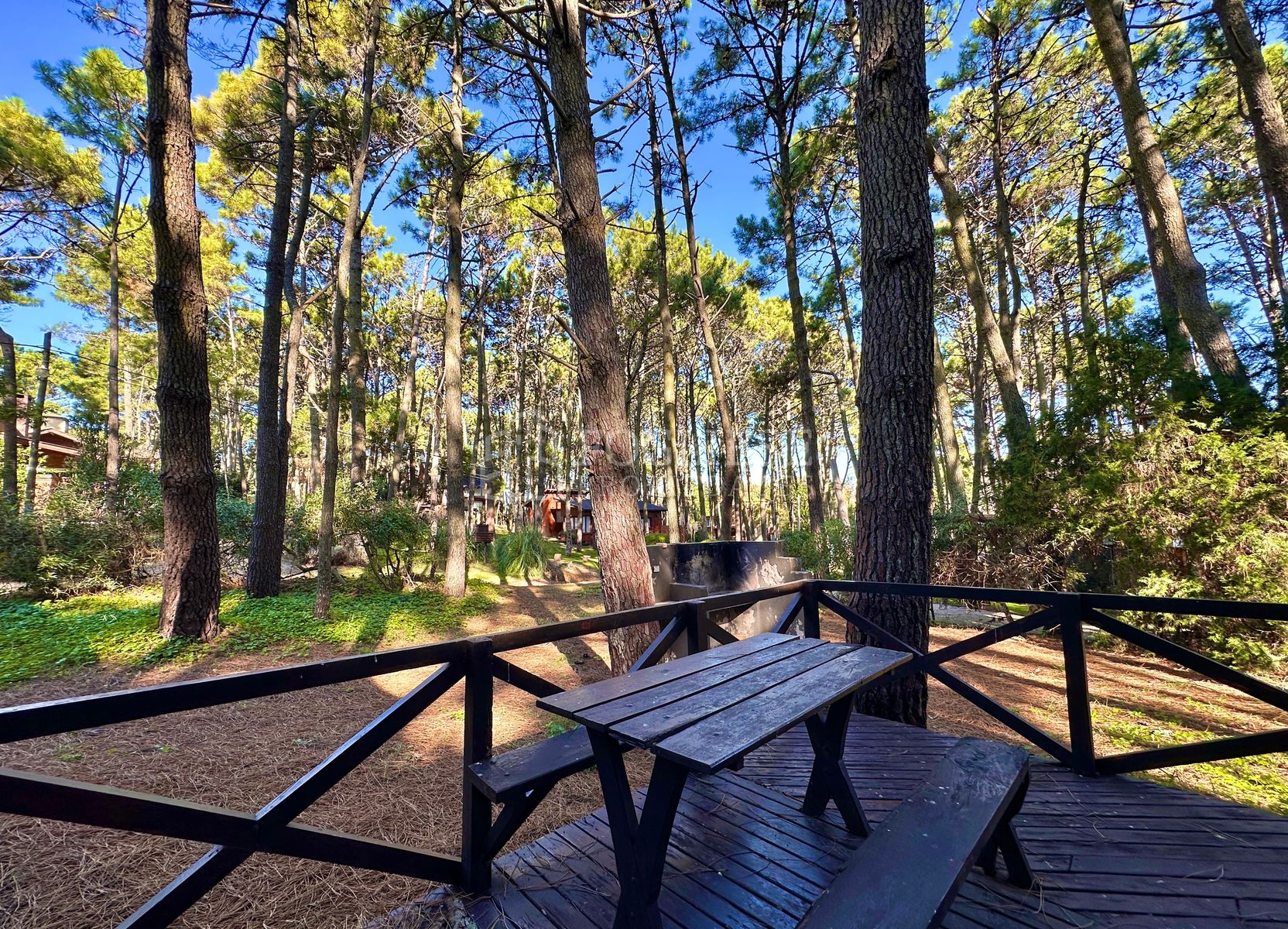 Hernandez entre Albatros y Brown · Villa Gesell — foto 28
