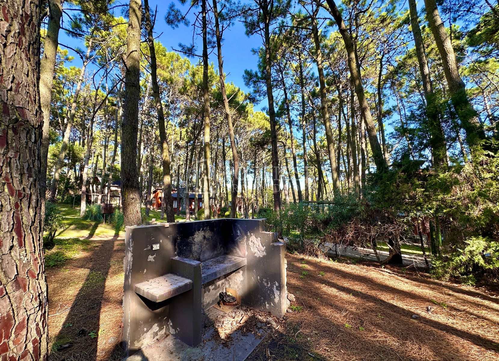 Hernandez entre Albatros y Brown · Villa Gesell — foto 29