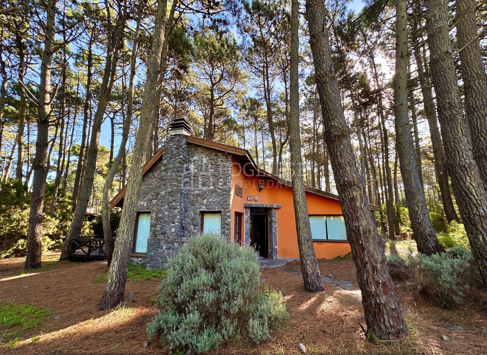 Hernandez entre Albatros y Brown · Villa Gesell — foto 34
