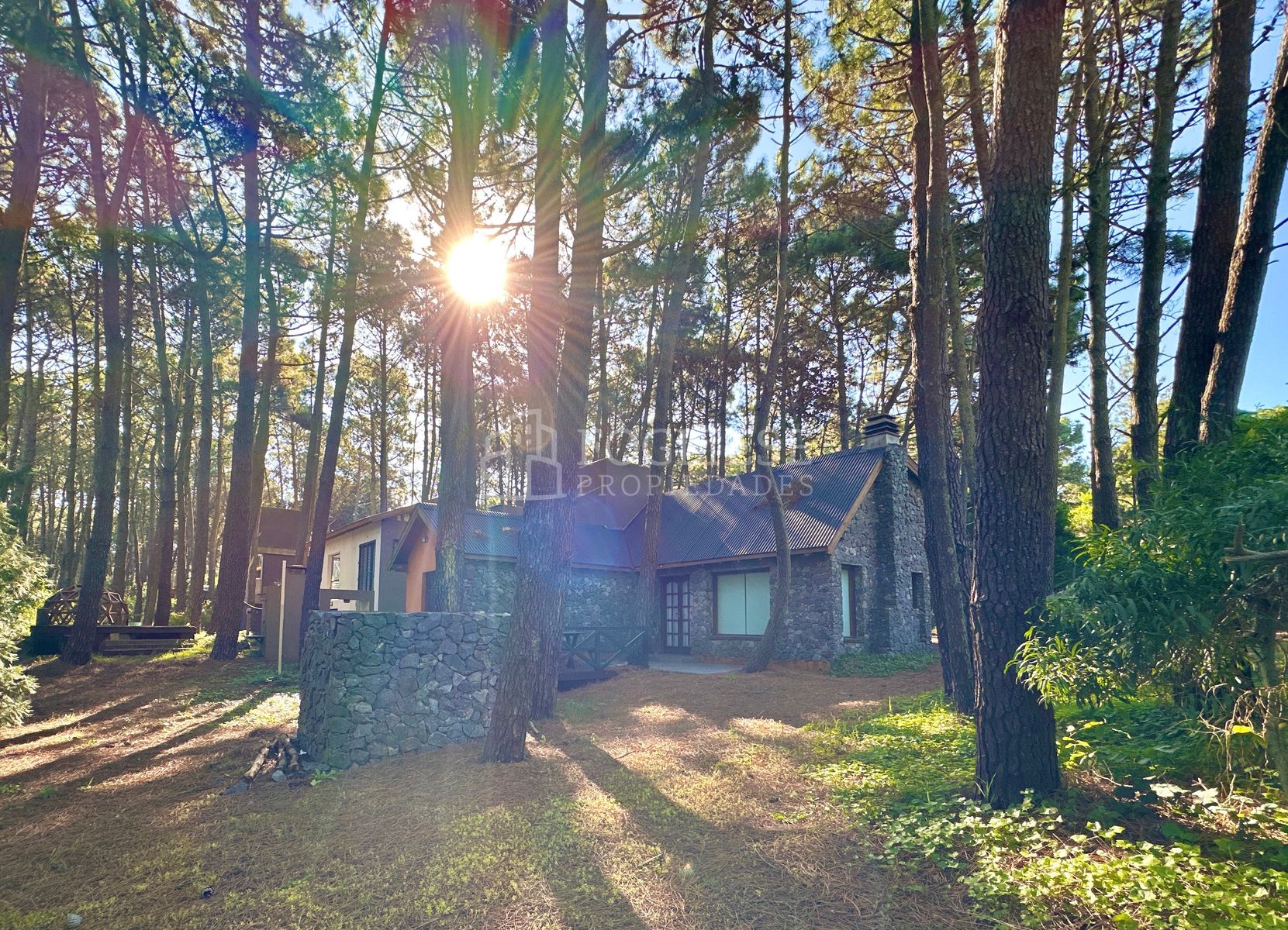 Hernandez entre Albatros y Brown · Villa Gesell — foto 35