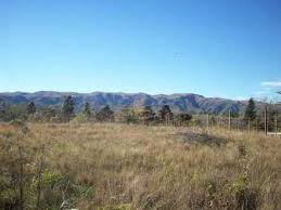 LOTE QUIMBALETES V. GIARDINO