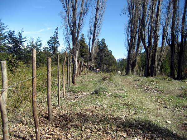Ruta 70 · Cushamen — foto 4