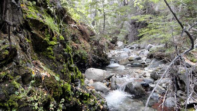 Ruta 70 · Cushamen — foto 7
