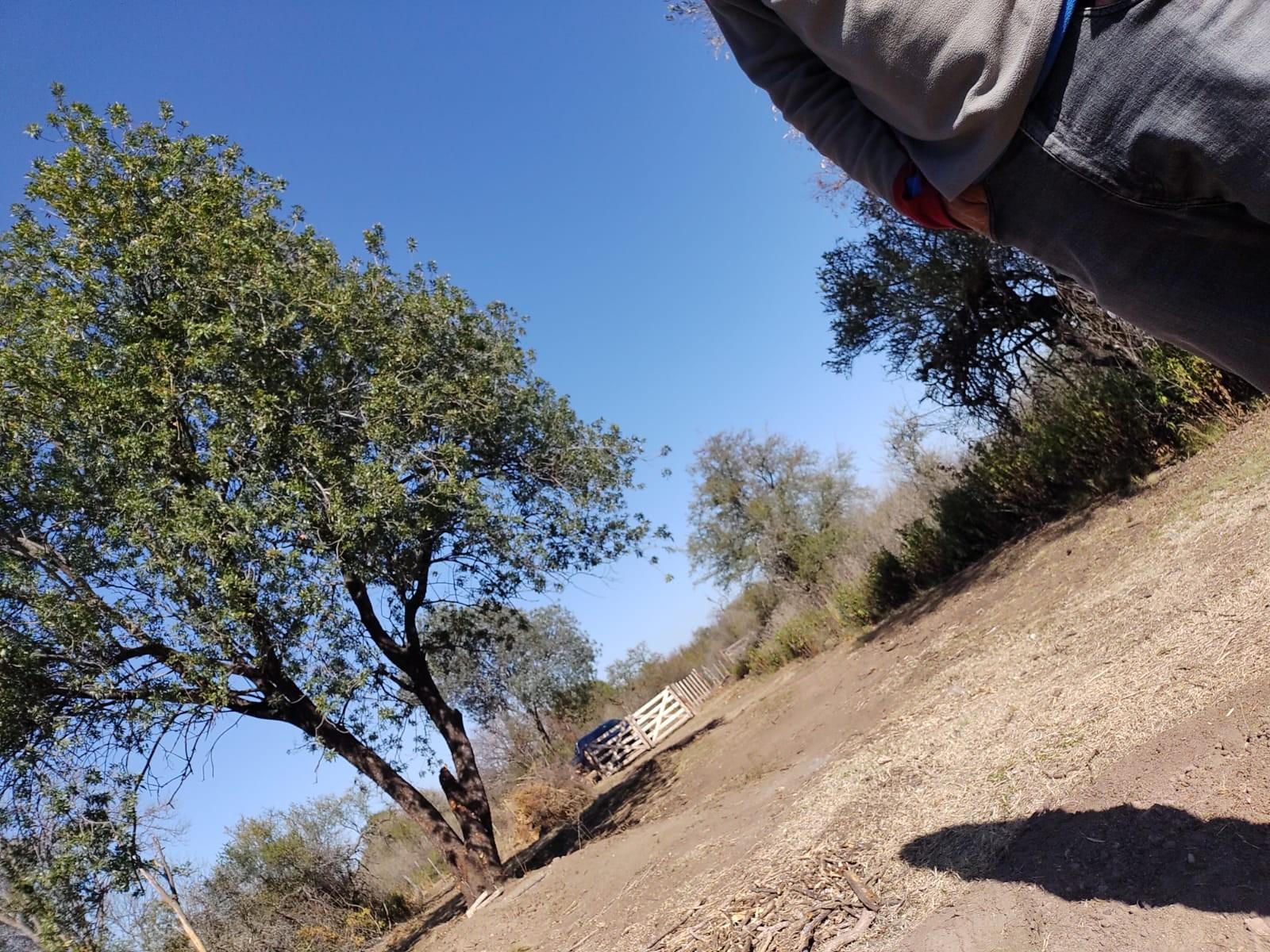 SAN JAVIER · San Javier — foto 5