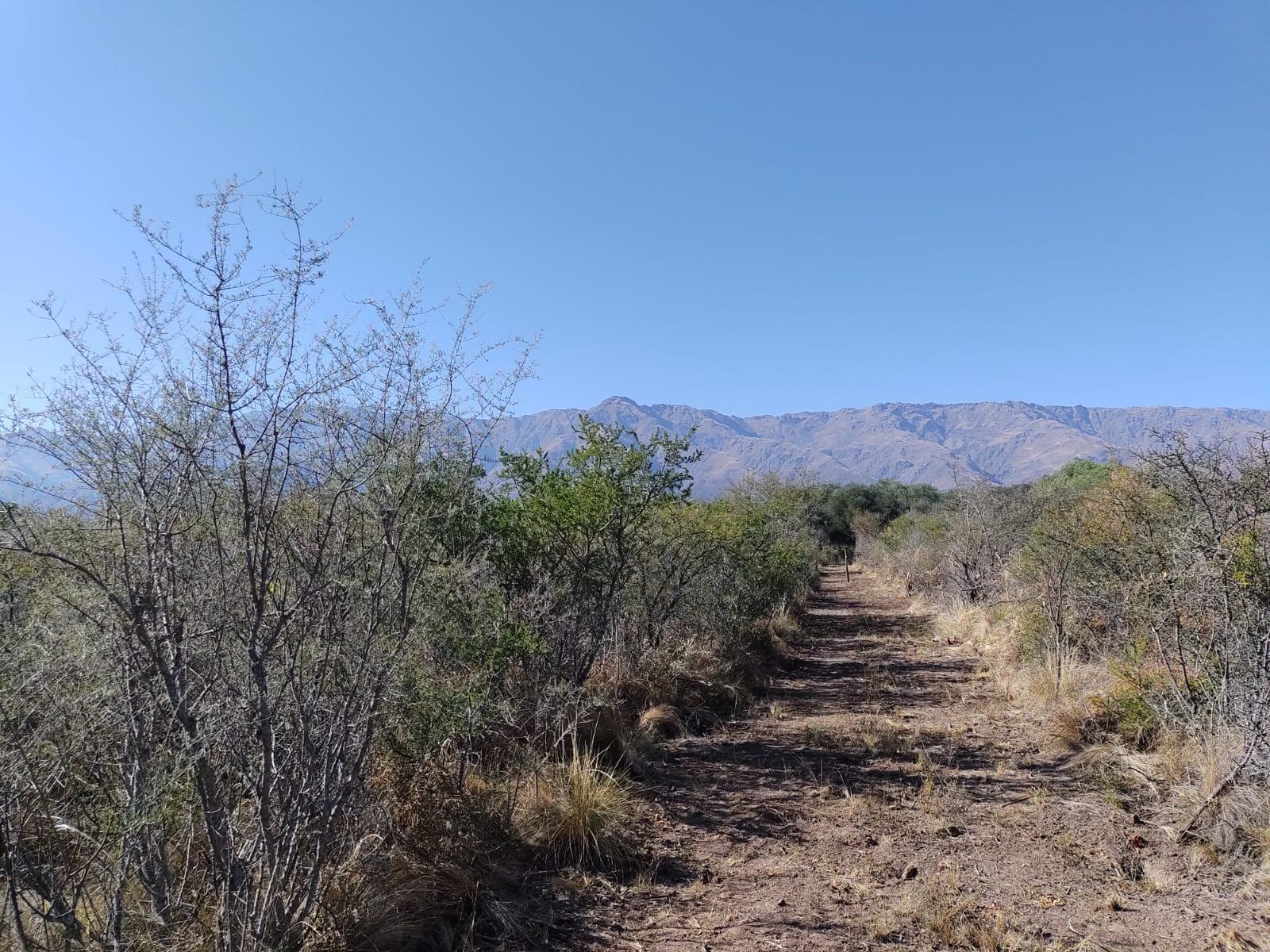 SAN JAVIER · San Javier — foto 7