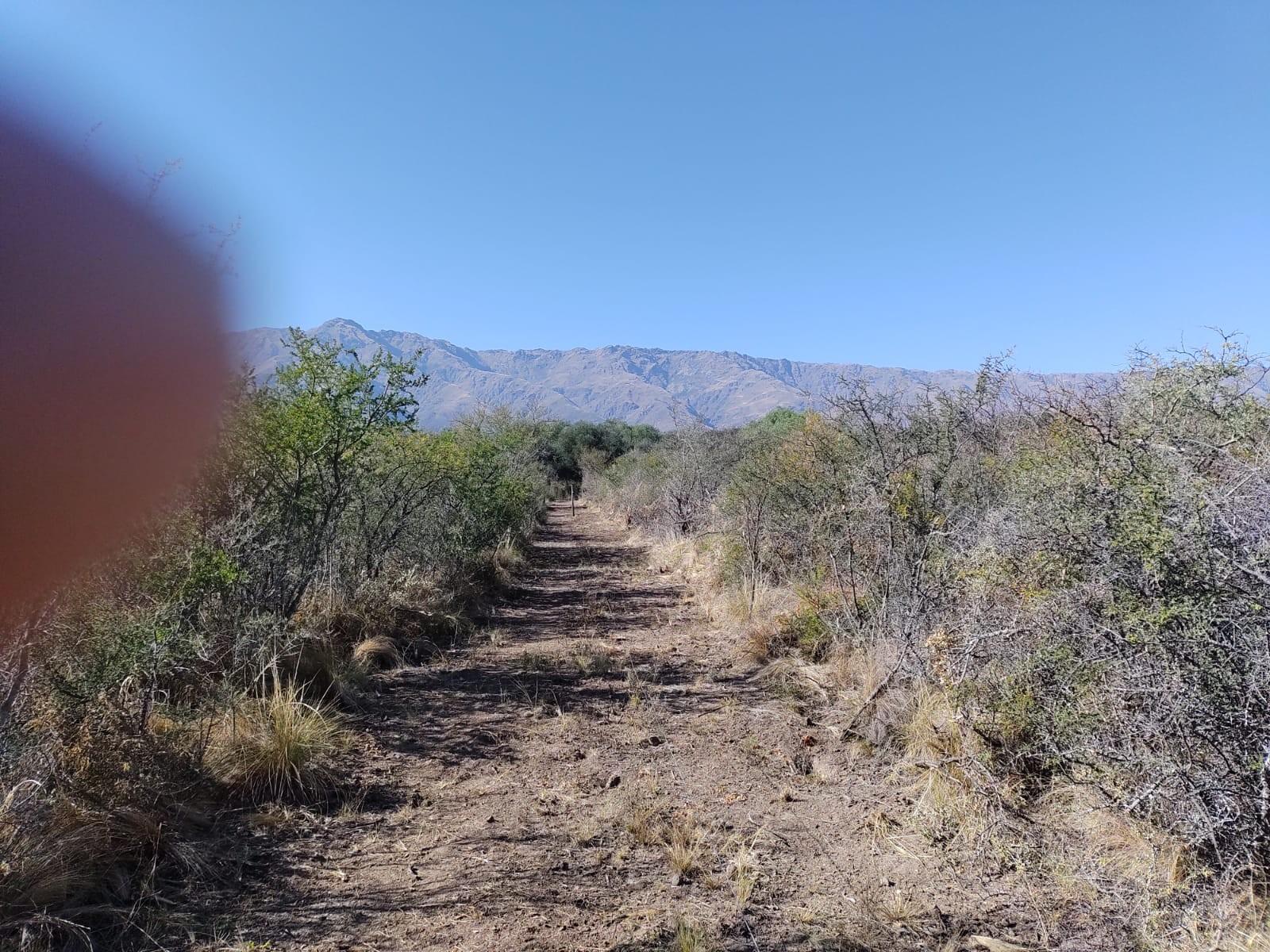 SAN JAVIER · San Javier — foto 8