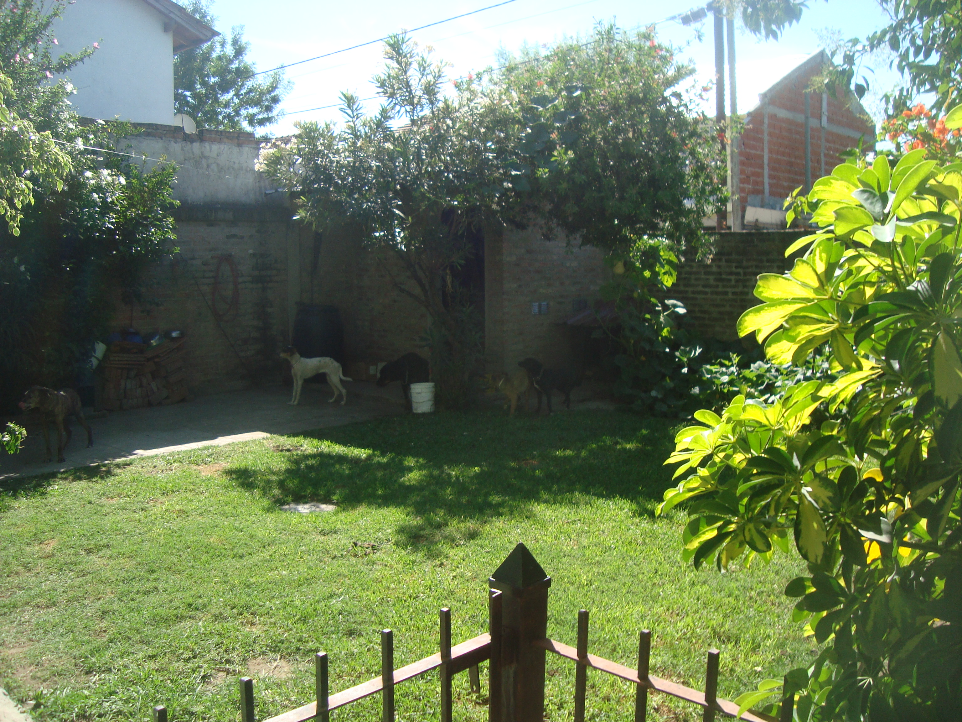 MICHELIS 400 · Almirante Brown — foto 12