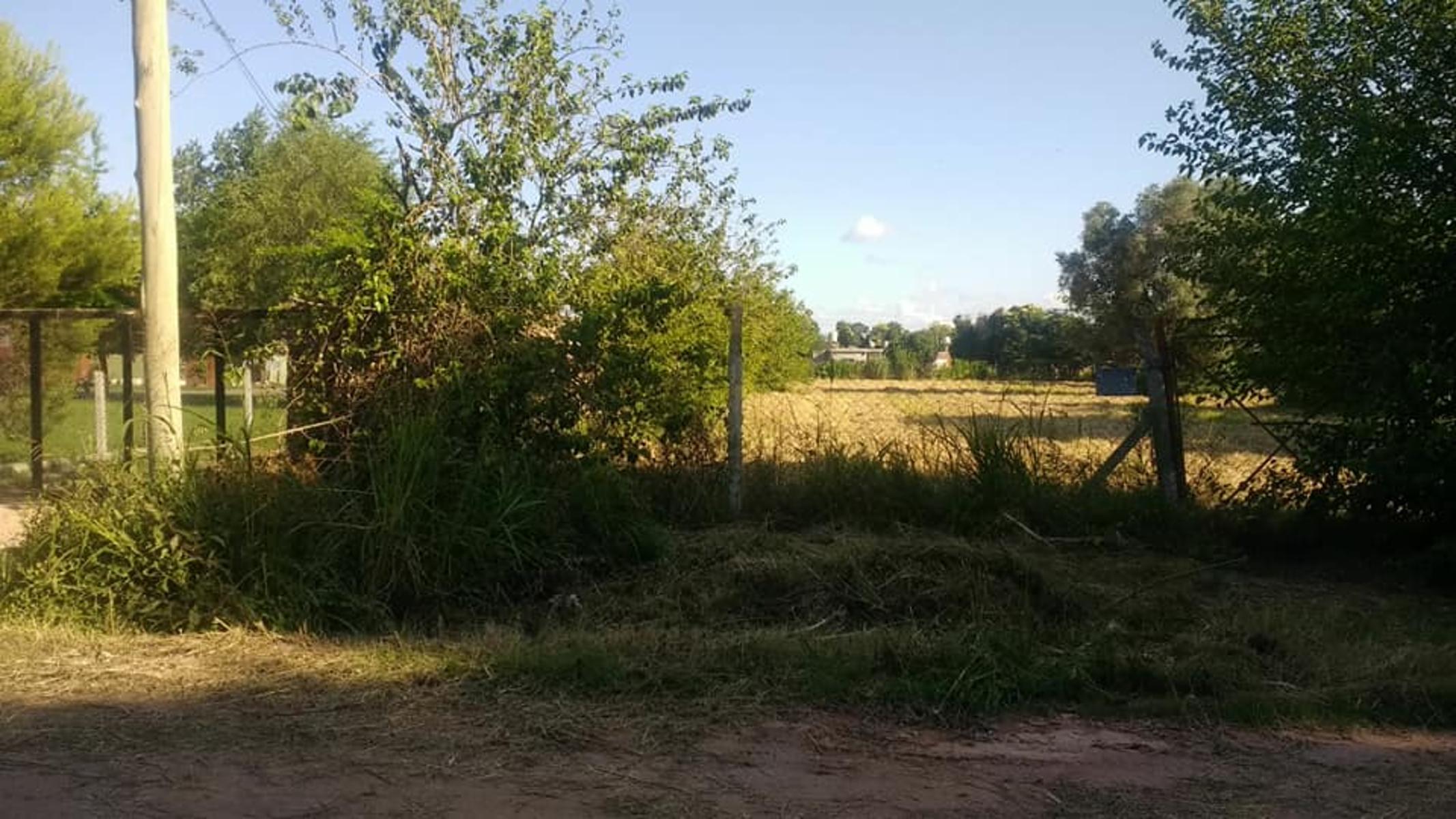 CALLE 1404 · Florencio Varela — foto 4