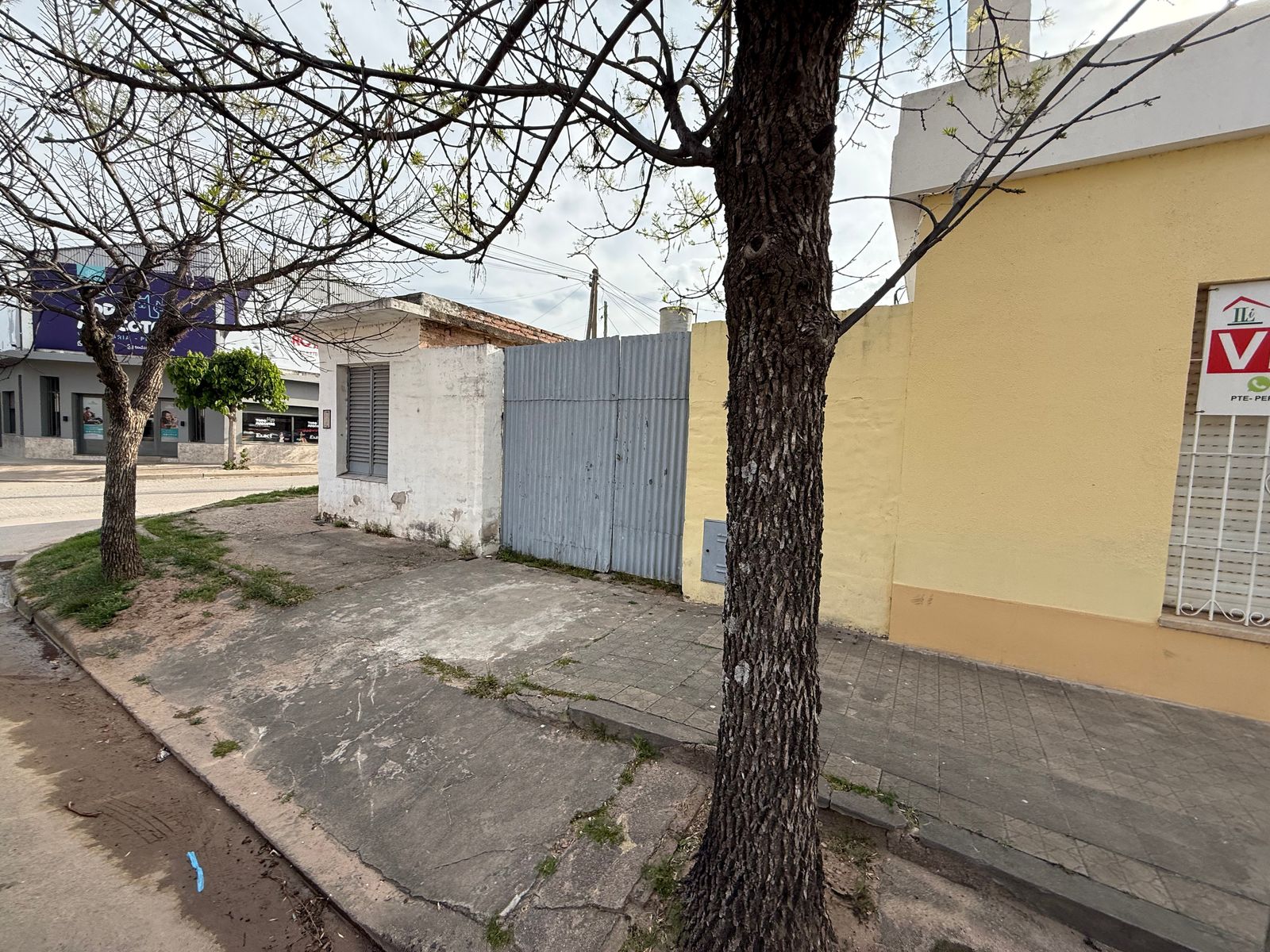 PEDRO J. FRIAS · Totoral — foto 3